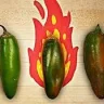 JalapenoFire